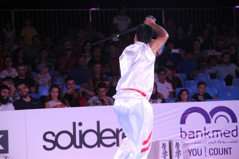 Martial Arts Festival